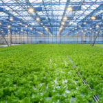 Innovations in Greenhouse Farming Technology